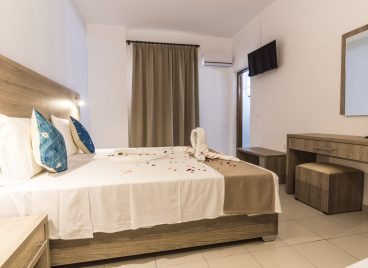 Standard Double room (No balcony)