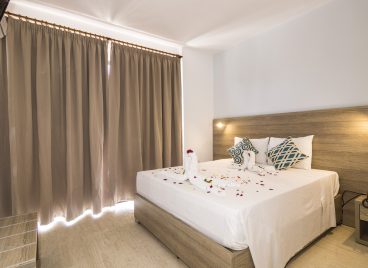 Superior double or twin rooms