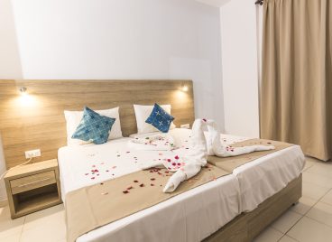 Deluxe double or twin room